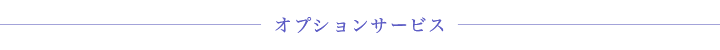 オプションサービス